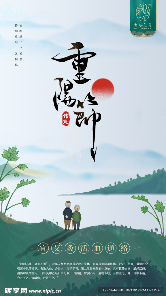 重阳节 节气海报