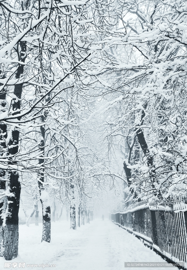 雪中道路