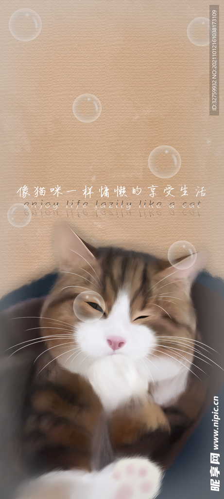 慵懒的猫