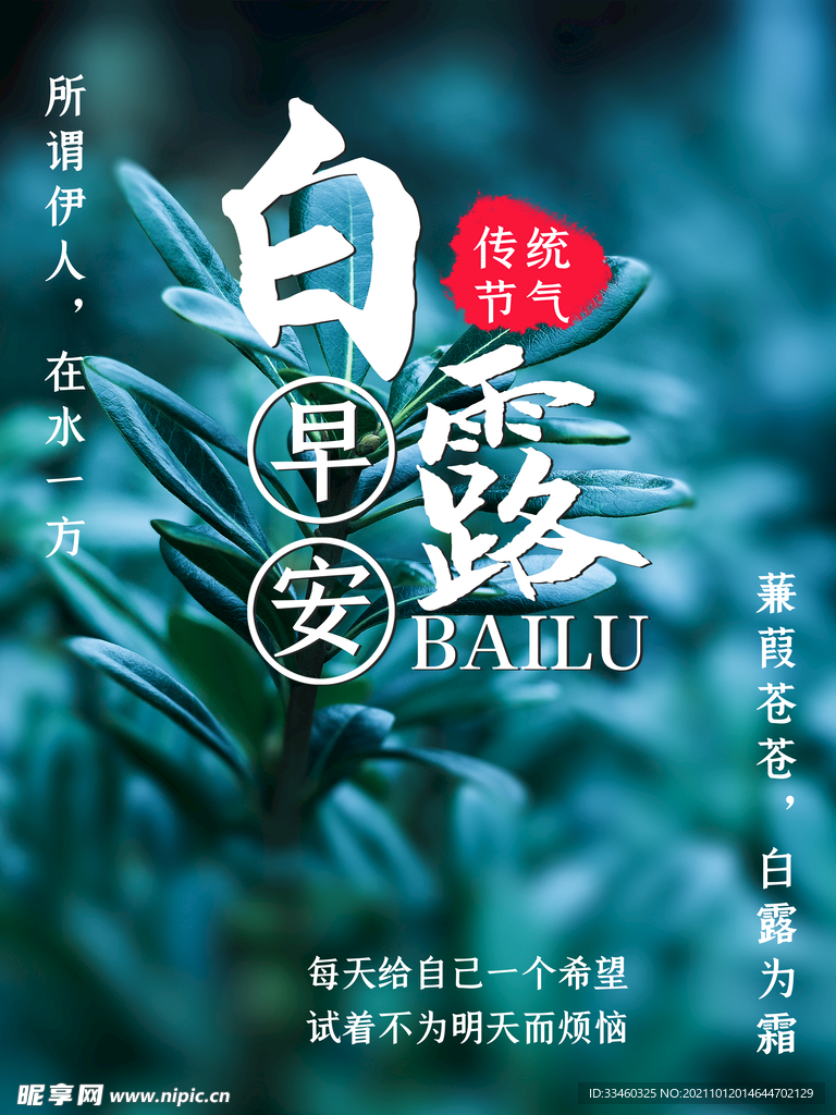白露