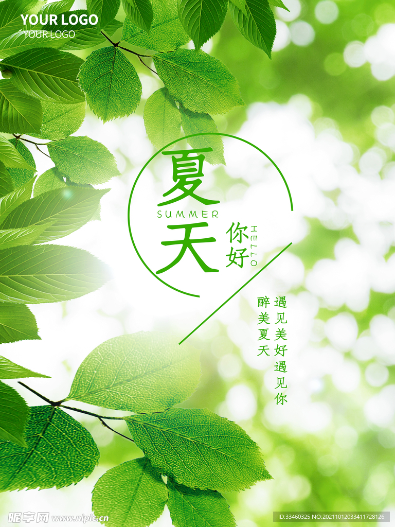 夏天你好
