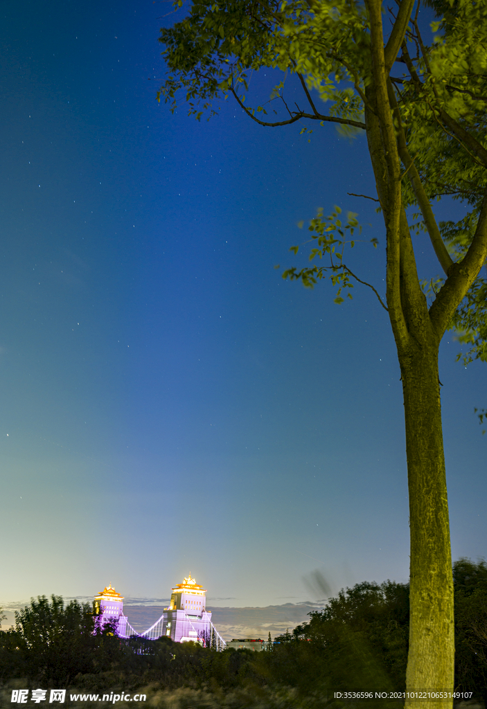 远处的霓虹夜景 