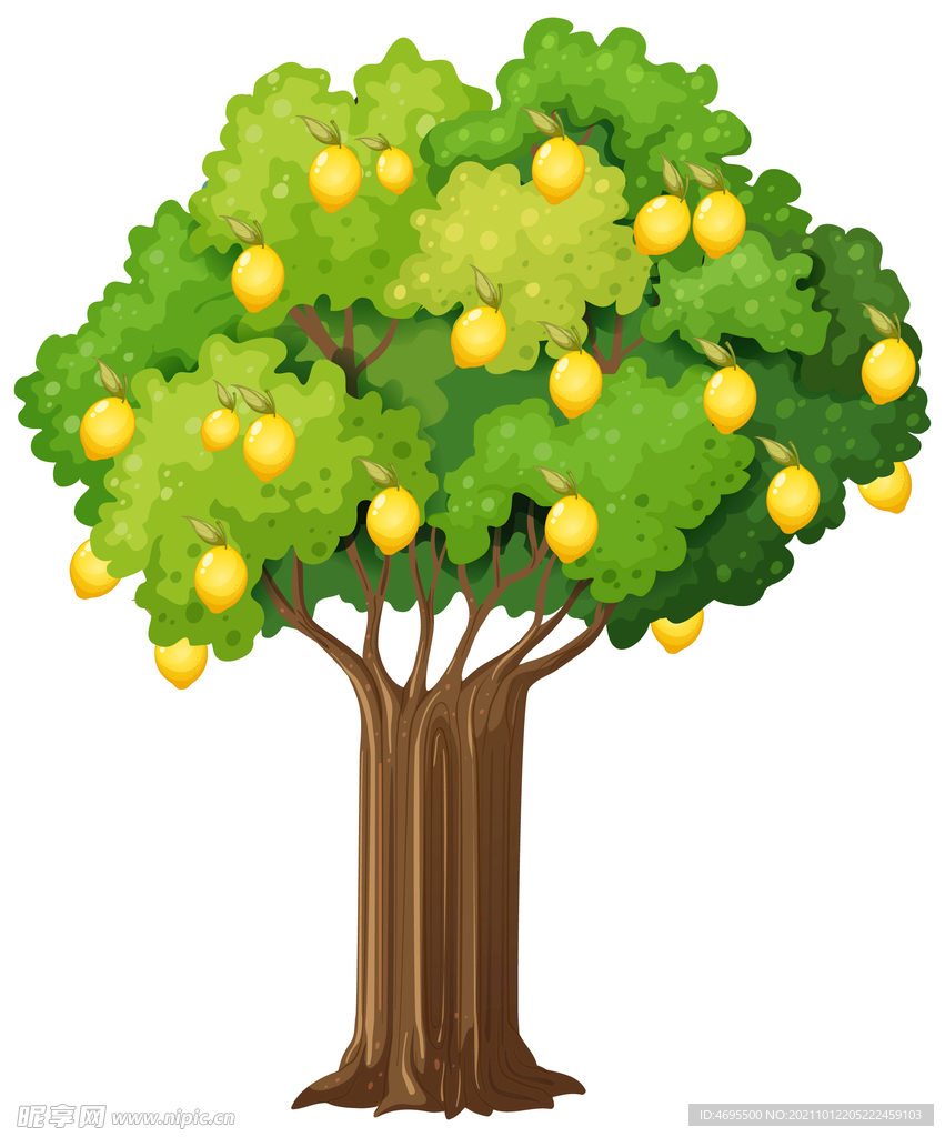 卡通柠檬果树