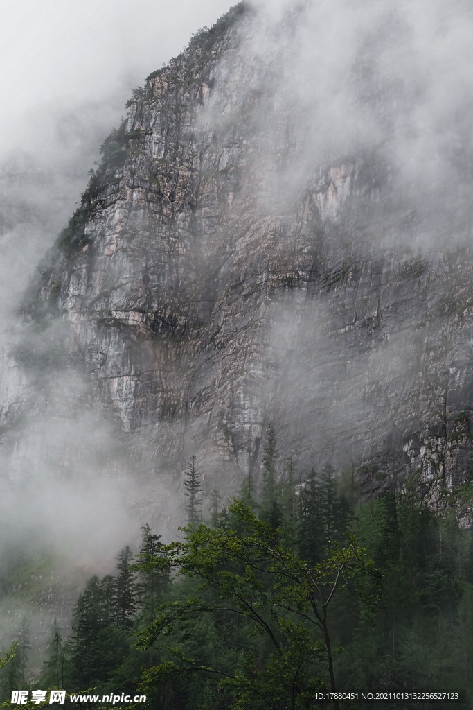 山林