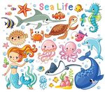 卡通海洋生物集合