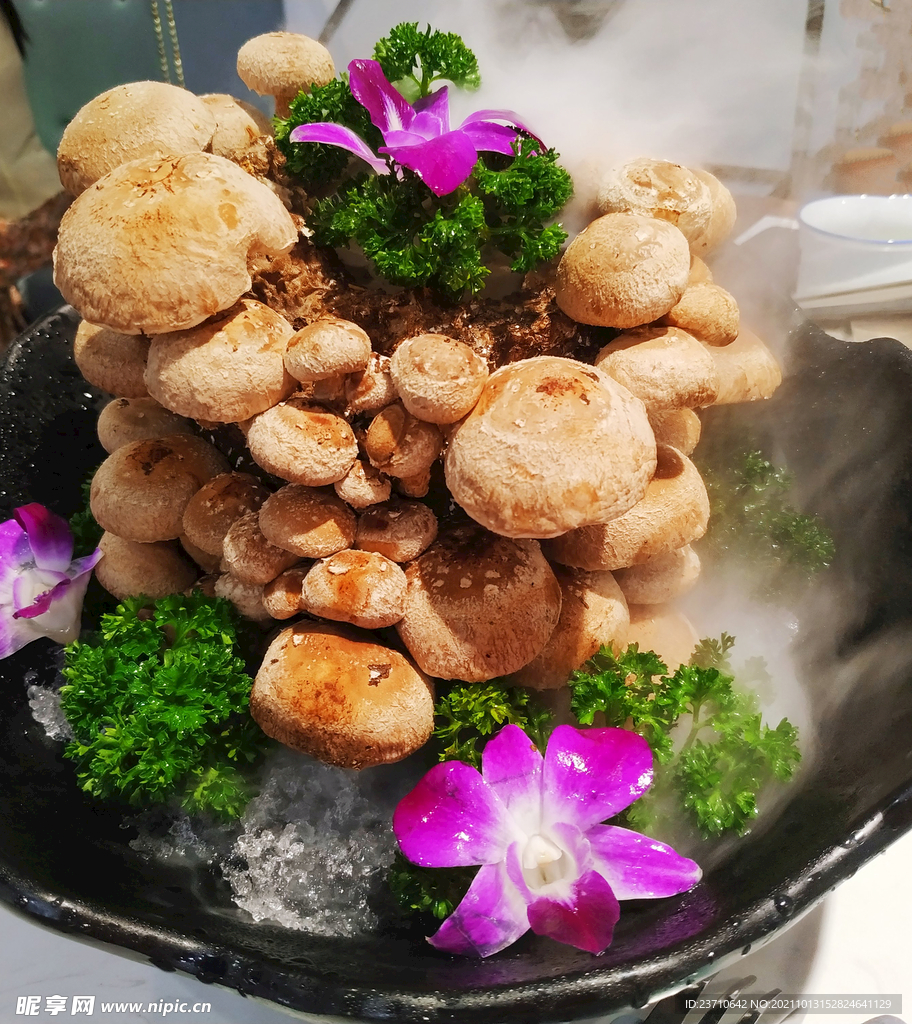新鲜蘑菇