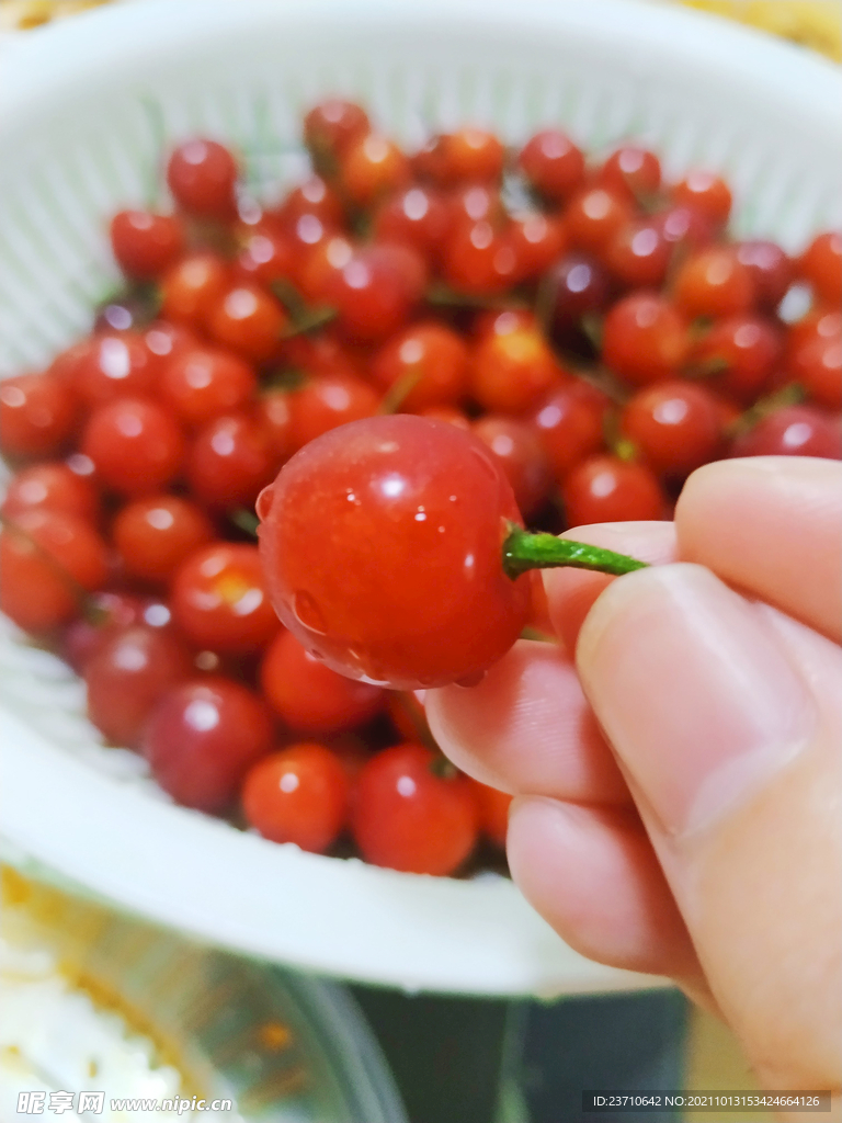 樱桃照片