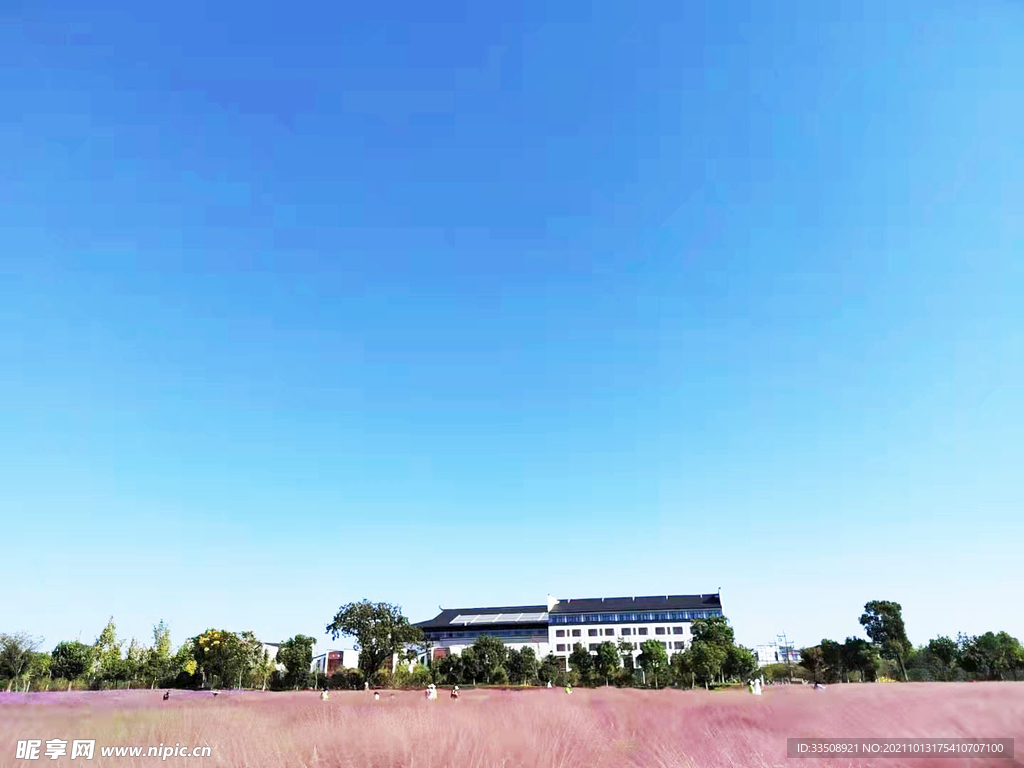 风景