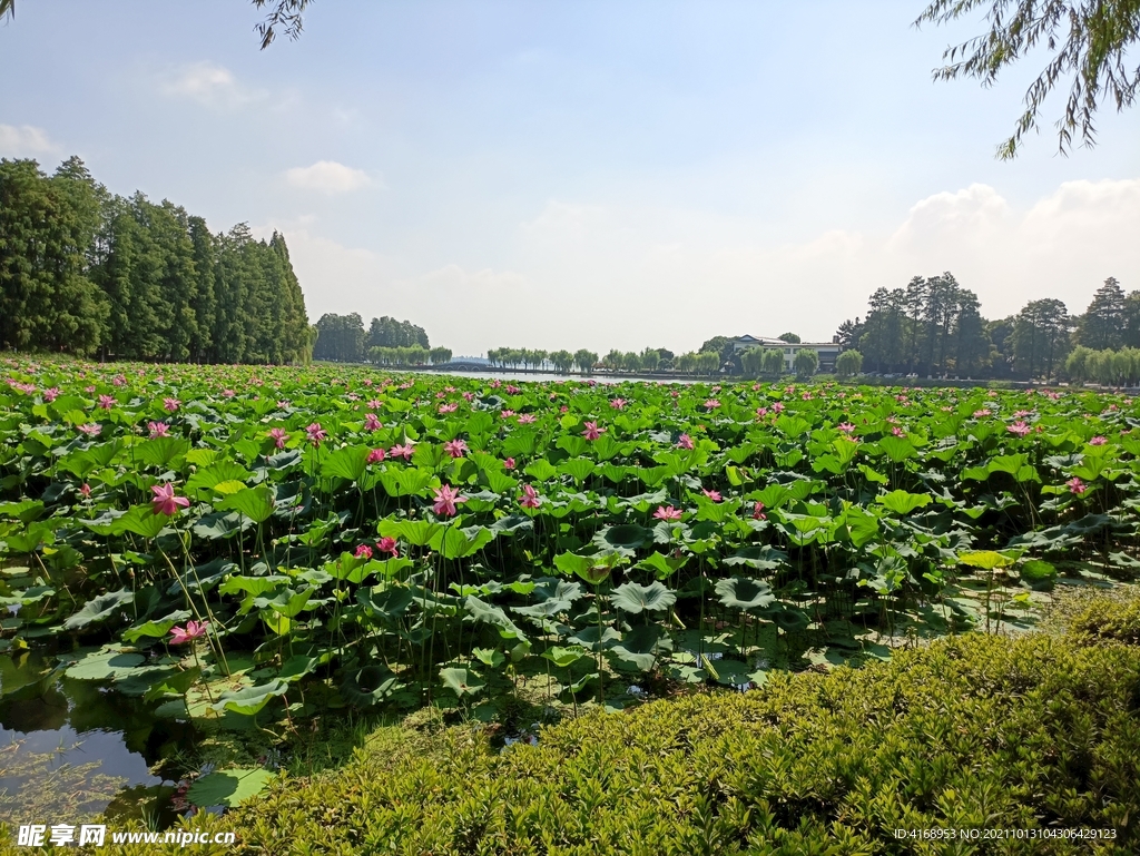 武汉东湖