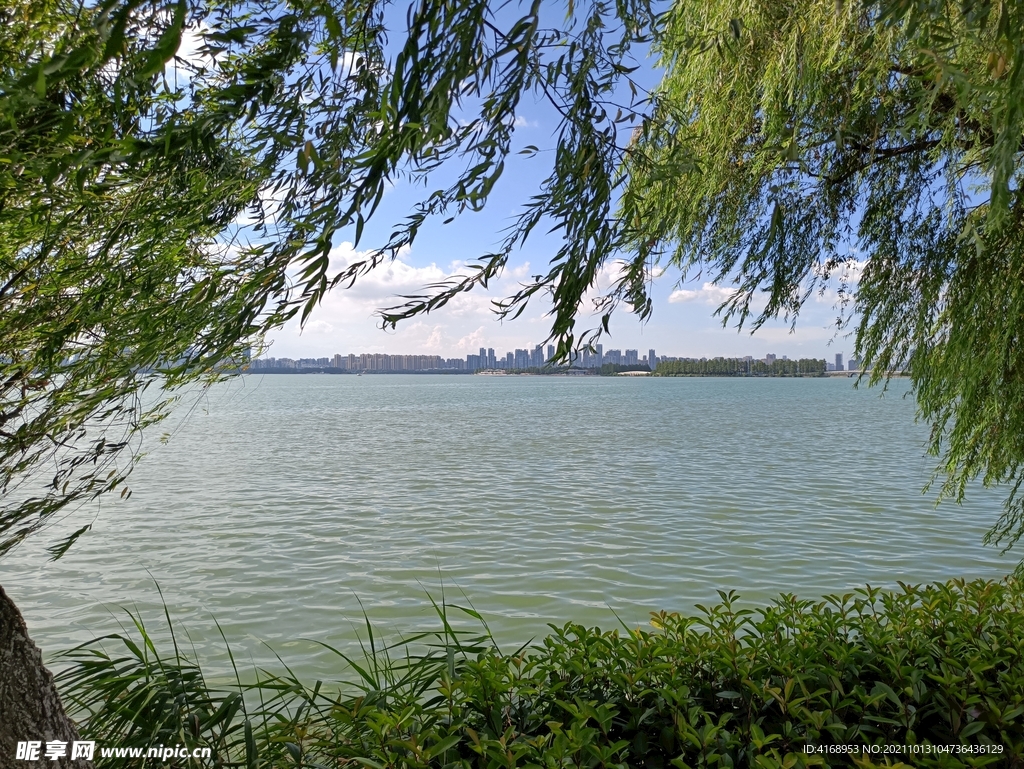 东湖风景