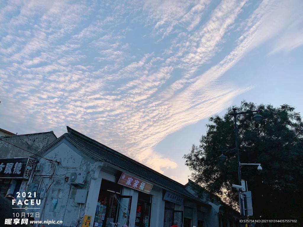 天空 蓝天  白云 大树 塔 