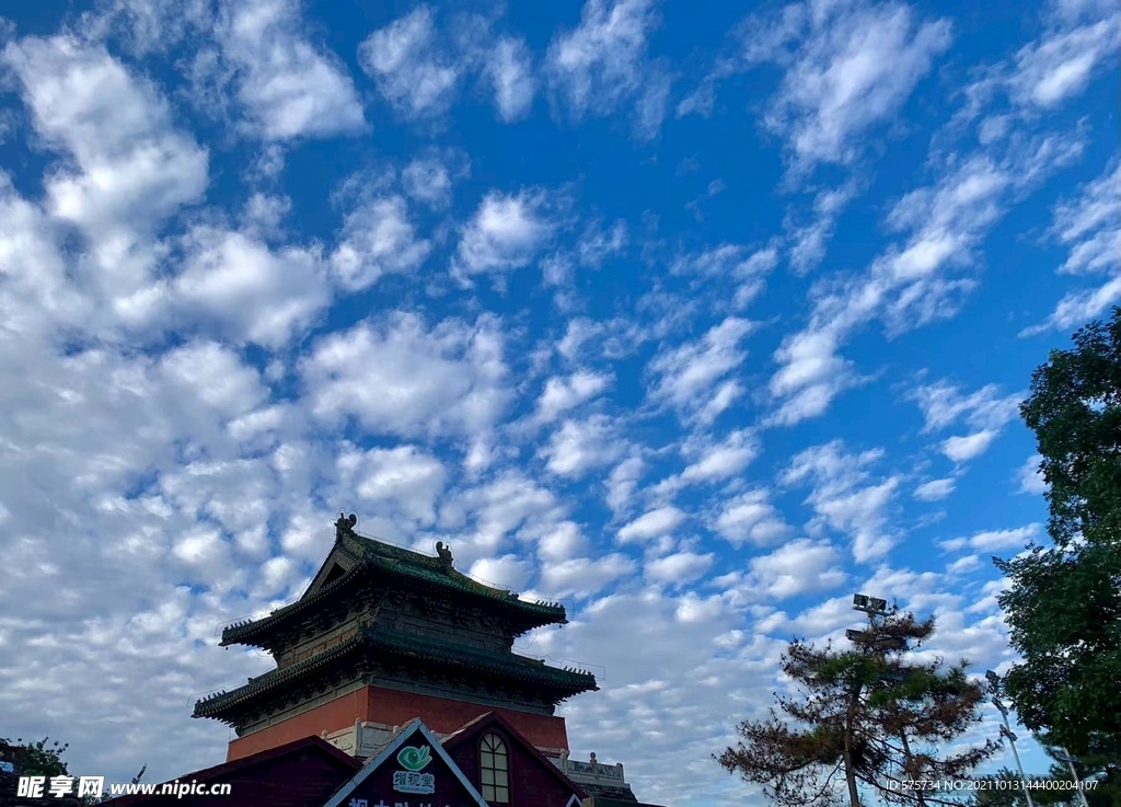 天空 蓝天  白云 大树 塔 