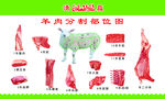 牛羊肉分割图