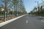 少林大道