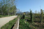 山村景色