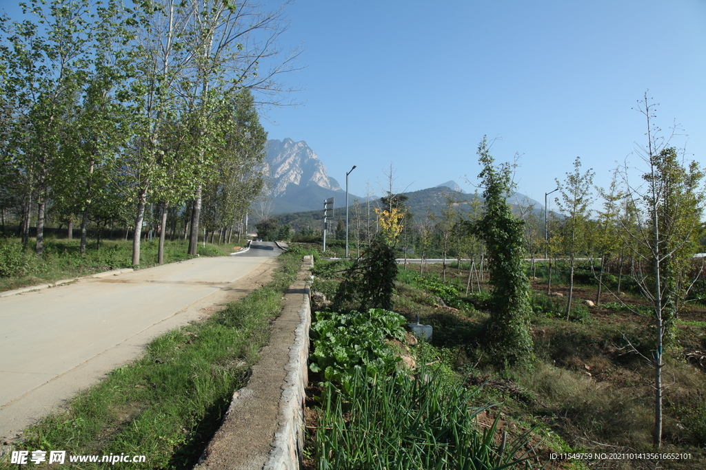 山村景色