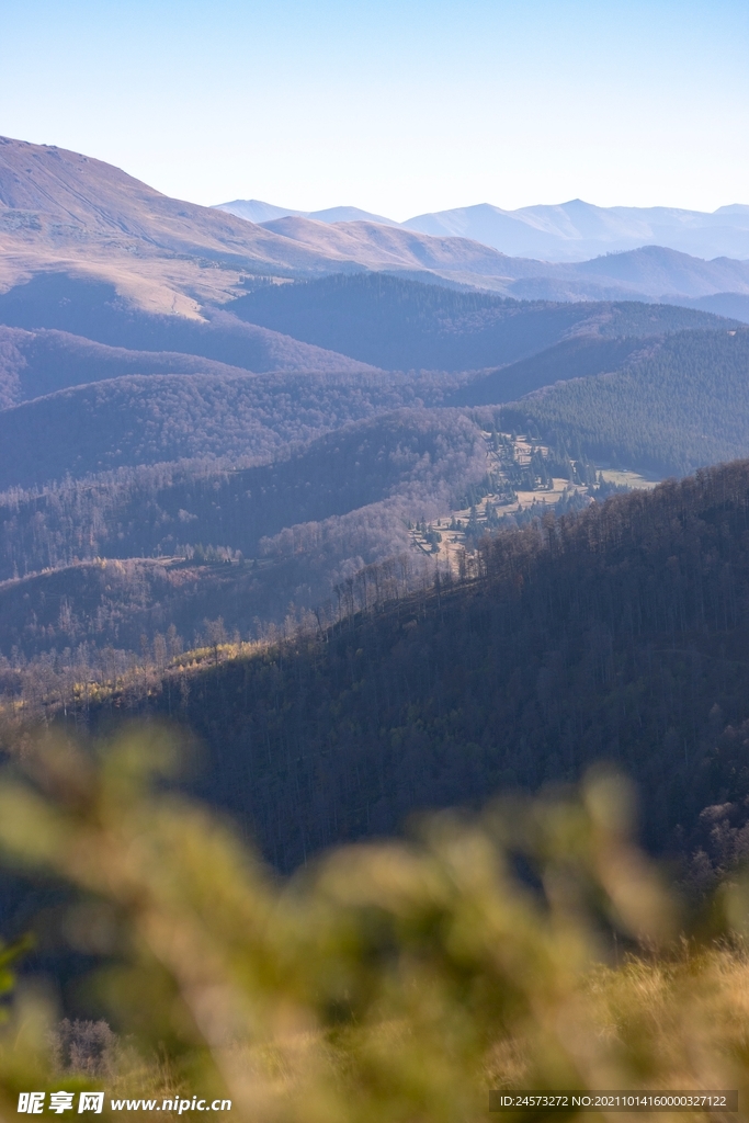 山