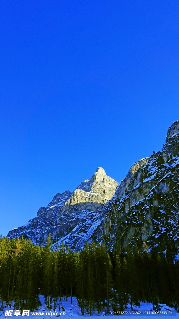 山