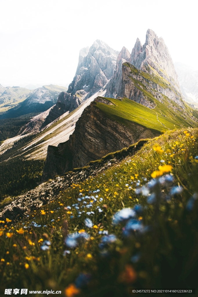 山 