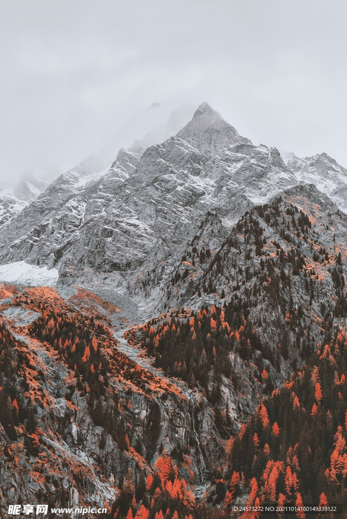 山 