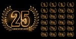 25周年纪念图标