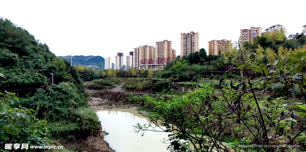 城市森林一景