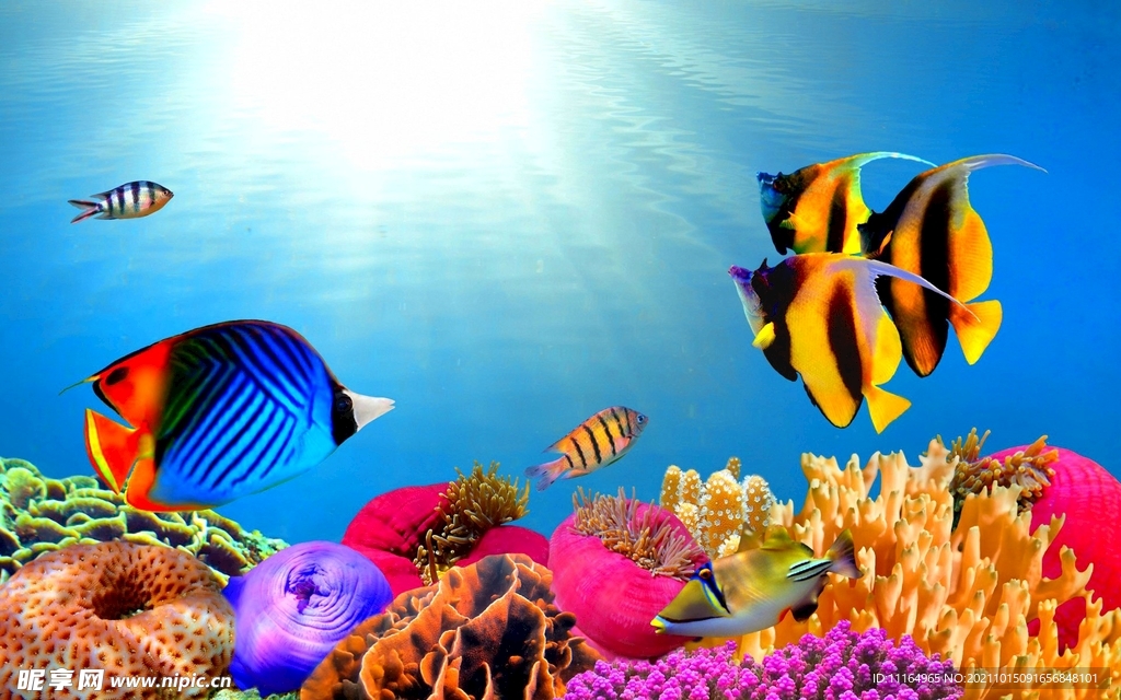 海底世界