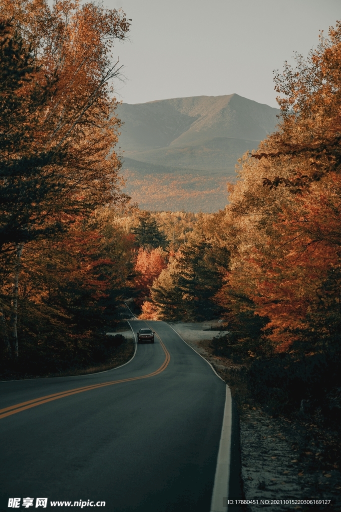 道路