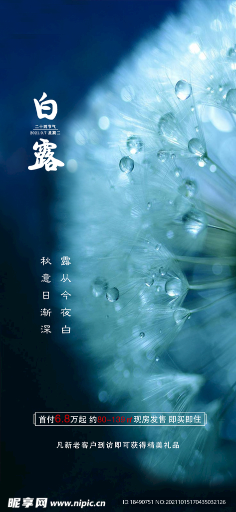 拉网展架 海报  地产 微推