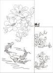 兰花