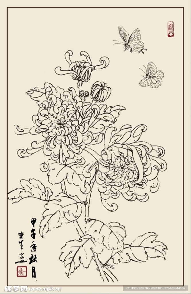 菊花