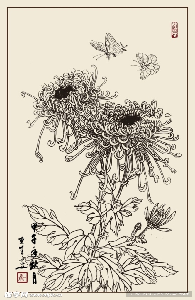 菊花