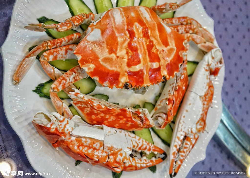 梭子蟹
