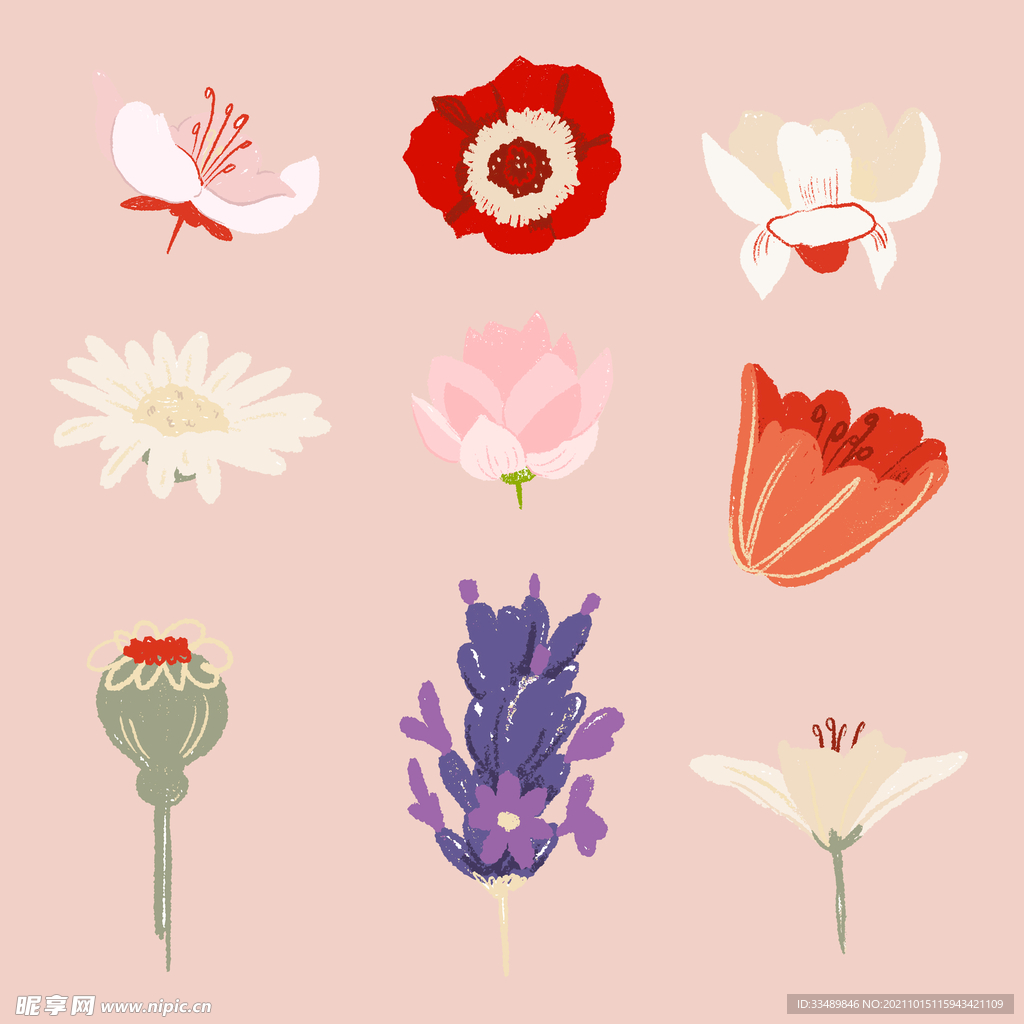 五颜六色的花