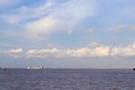 上海滨江森林公园-海边