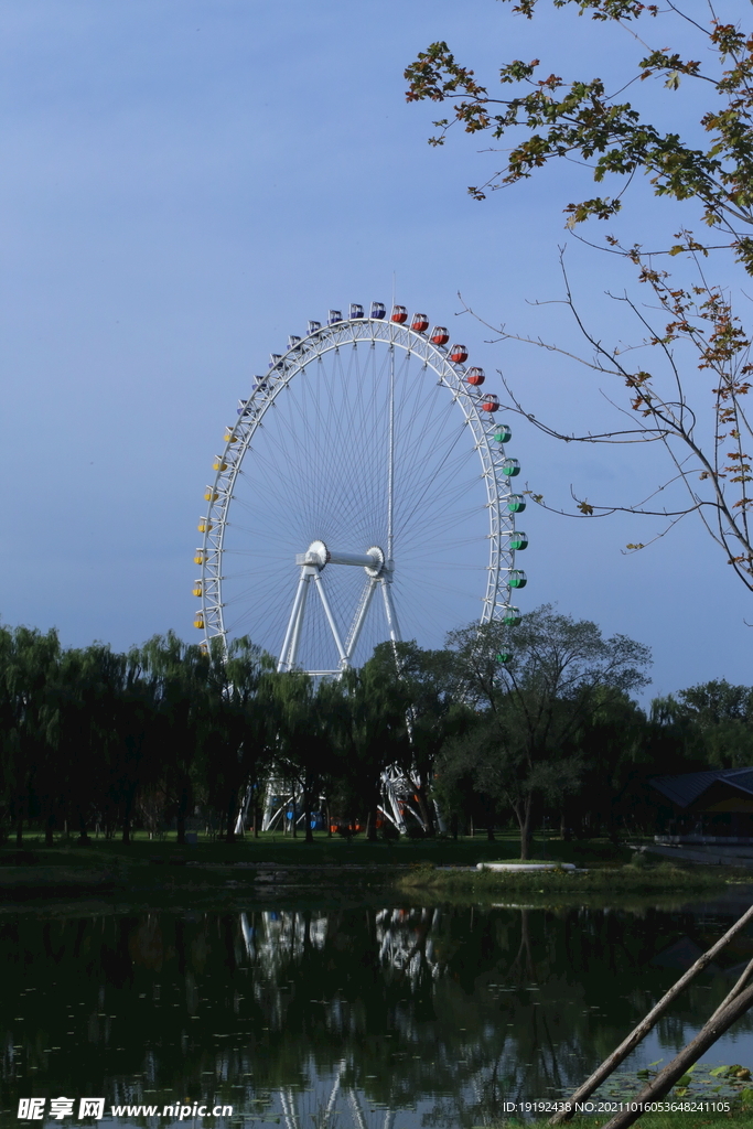  公园风景 