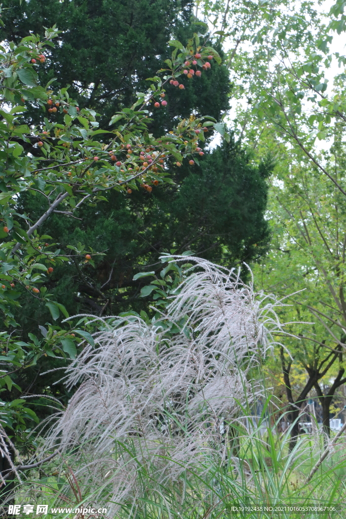 龙潭中湖风景