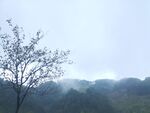 风景