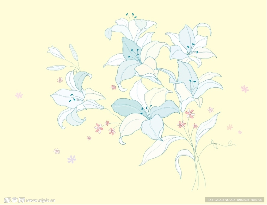百合花