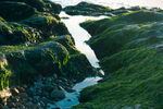 海边石头海藻光影水波