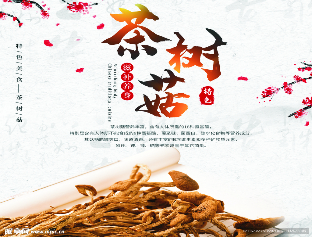 茶树菇纸箱包装广告