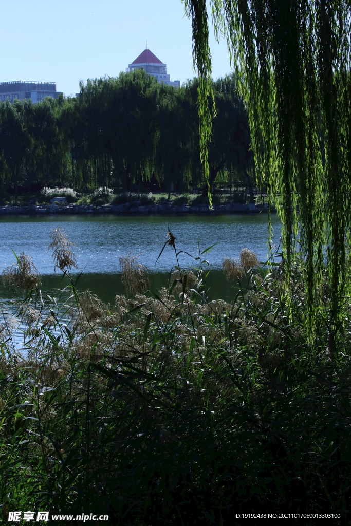 陶然亭风景 