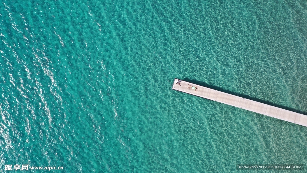 海
