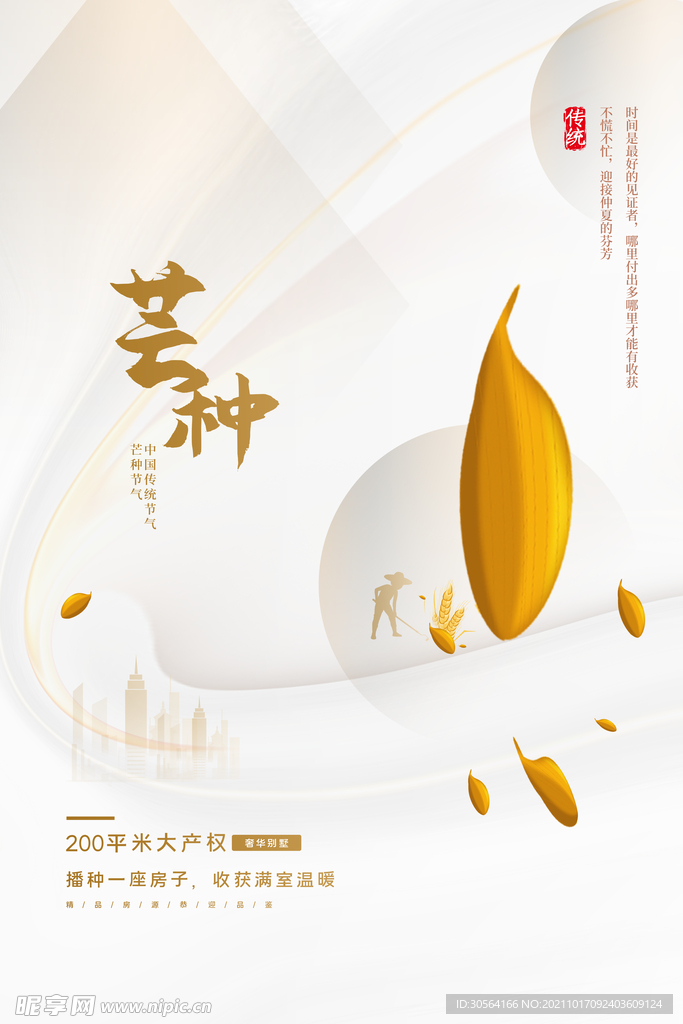 芒种