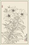 百合花