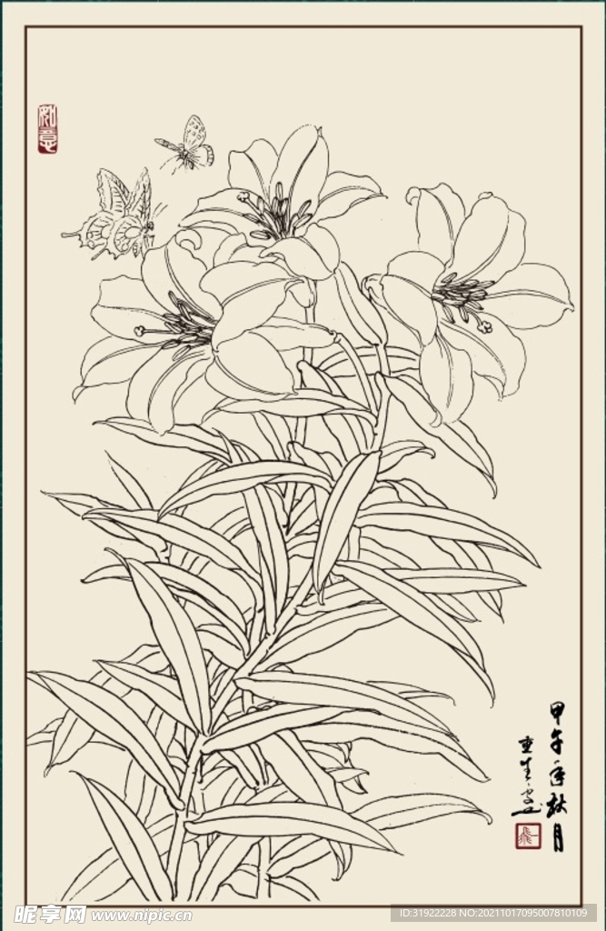 百合花