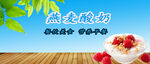 燕麦牛奶