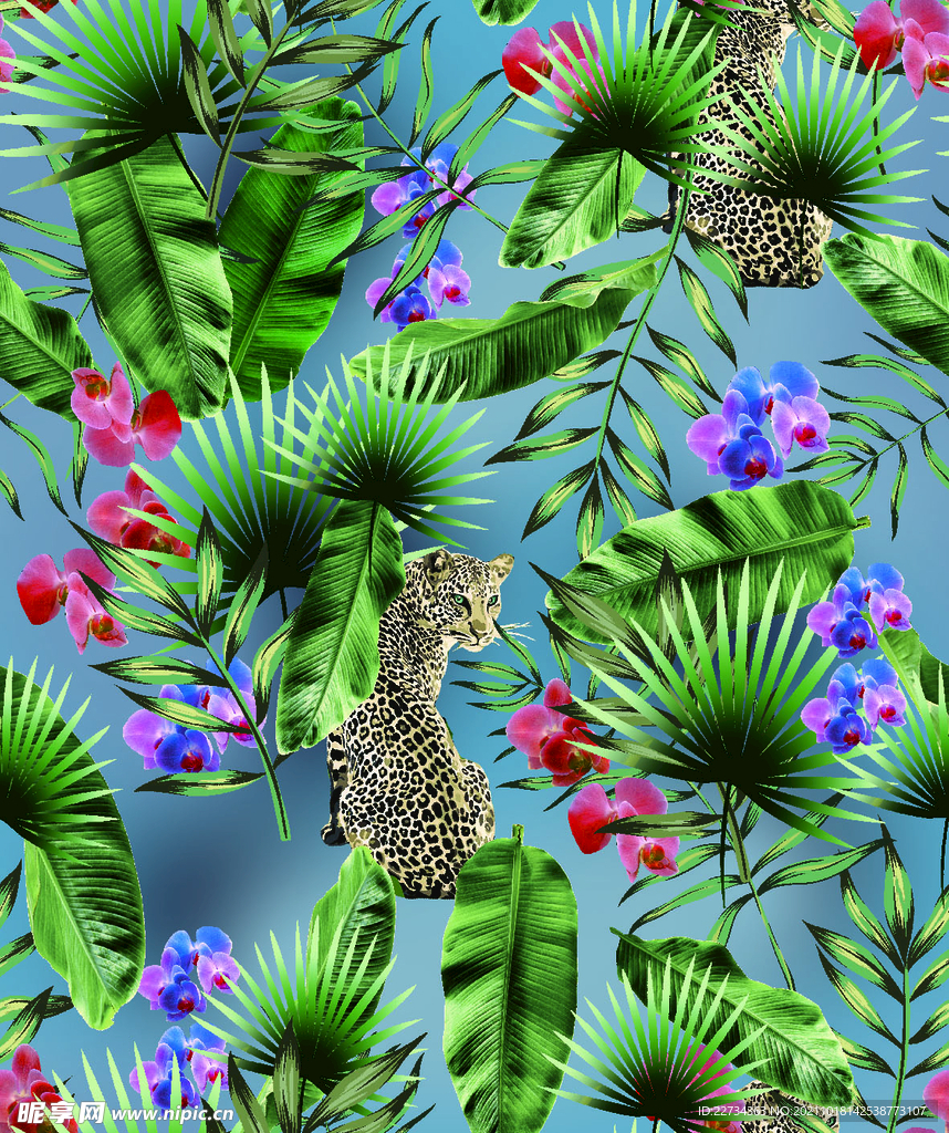 热带花型 豹子