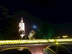 临济寺夜景