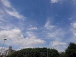 天